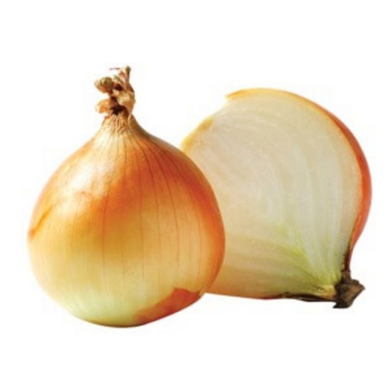 Medium Dutch Cooking Onions 18KG
