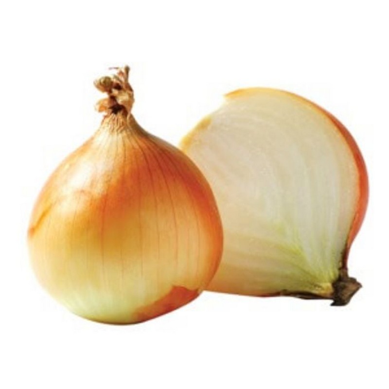 FRESH DUTCH ONION  (M) 18KG