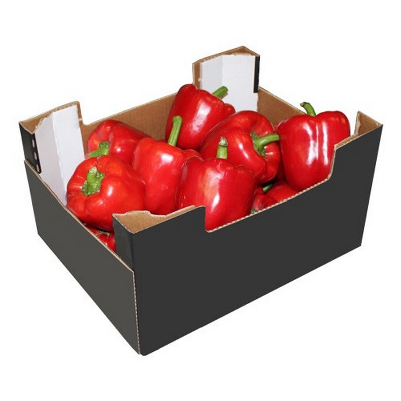 FRESH RED PEPPERS CAPSICUM CASE