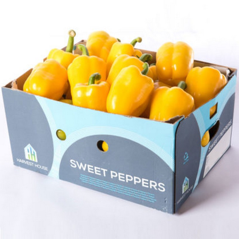 FRESH YELLOW CAPSICUM PEPPERS BOX