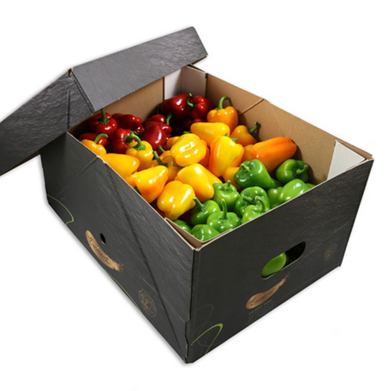 MIXED CAPSICUM PEPPERS BOX