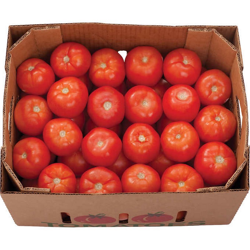 Loose Tomatoes 5kg
