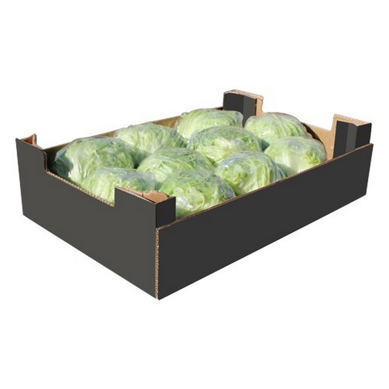 ICEBERG LETTUCE 10-12PCS CASE