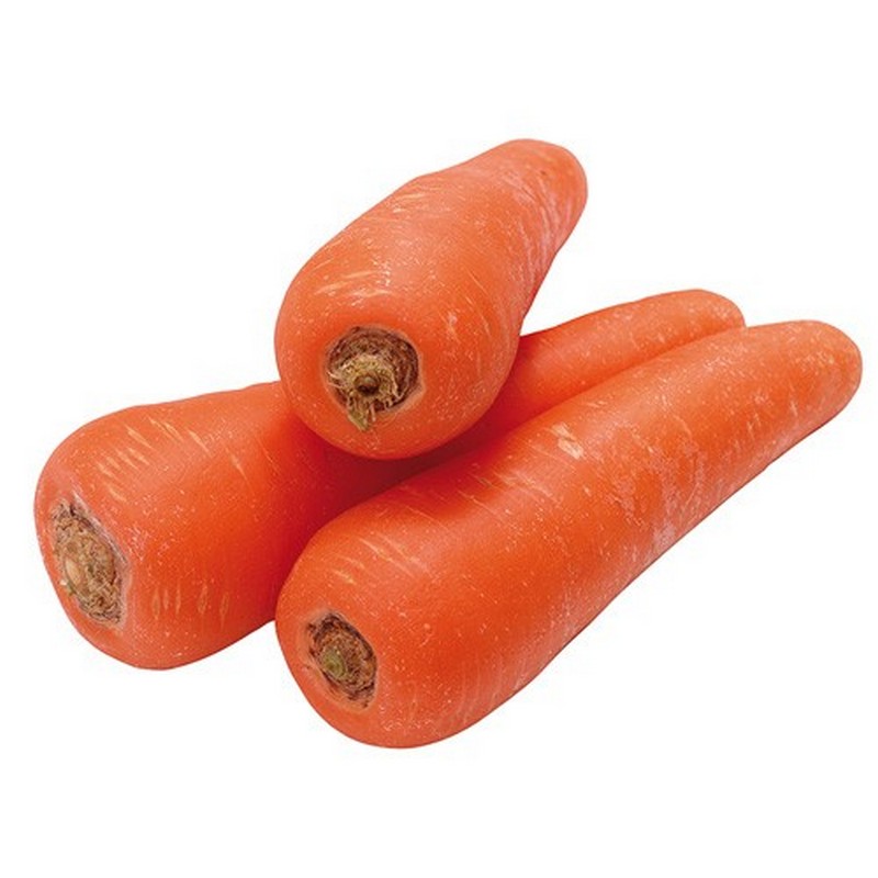 FRESH CARROTS 10KG SACK